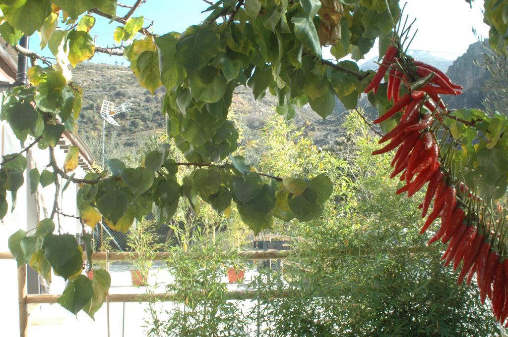 Cortijo Los Cahorros Sierra Nevada Pension Monachil Buitenkant foto